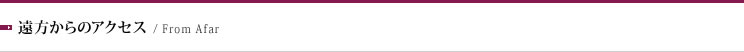 遠方からのアクセス